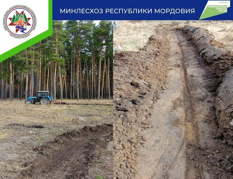 Более 3600 км противопожарных минерализованных полос обновят в Мордовии