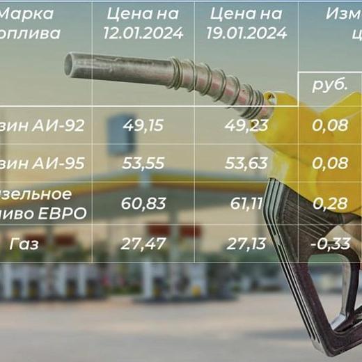 Бензин и дизтопливо дорожают в Мордовии