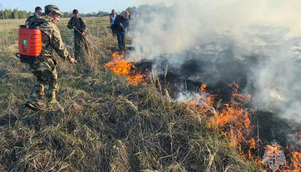 В Мордовском заповеднике ликвидировали условный пожар В Мордовском заповеднике ликвидировали условный пожар
