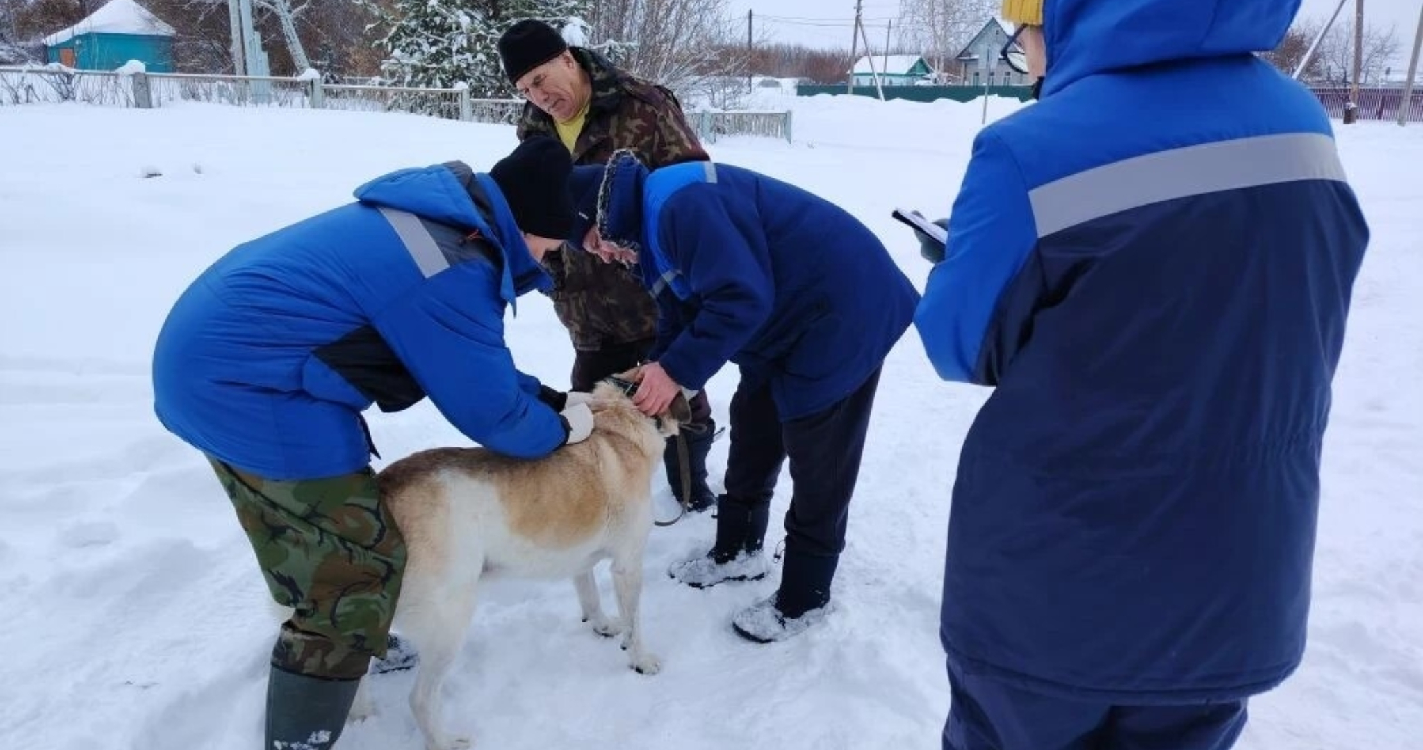 От смертельно опасной болезни в Мордовии защитили пушистых обитателей села 