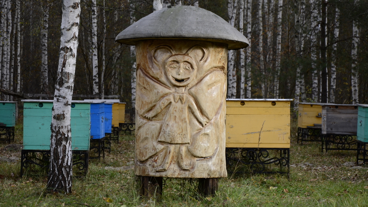 Фермера в Мордовии оштрафовали за опасное для пчёл молчание 