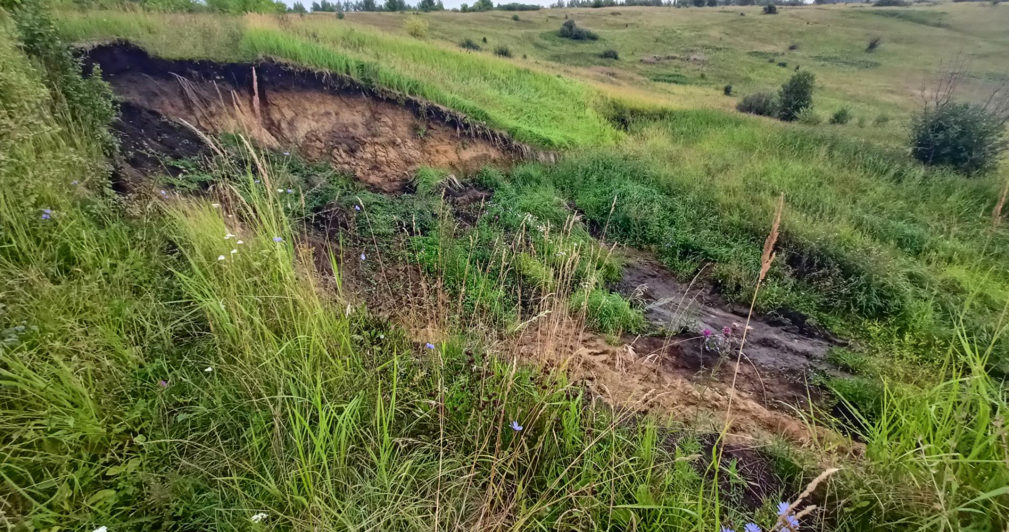 В Мордовии едва не погиб 32-летний водитель квадроцикла 