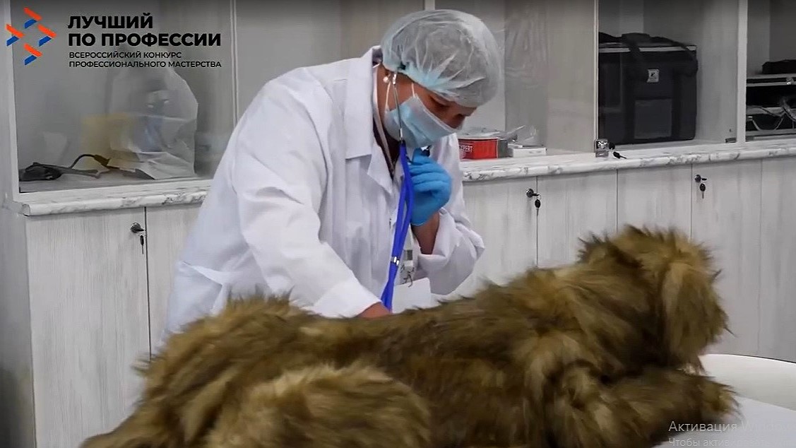 Лучшего ветеринарного фельдшера выбрали в Мордовии