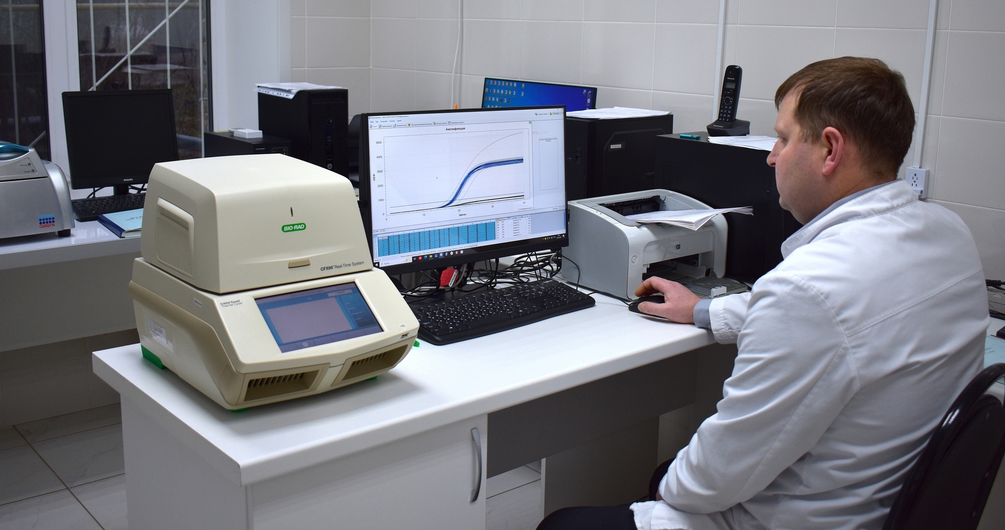 В Мордовии на чуму проверили тысячи свиней и кабанов 