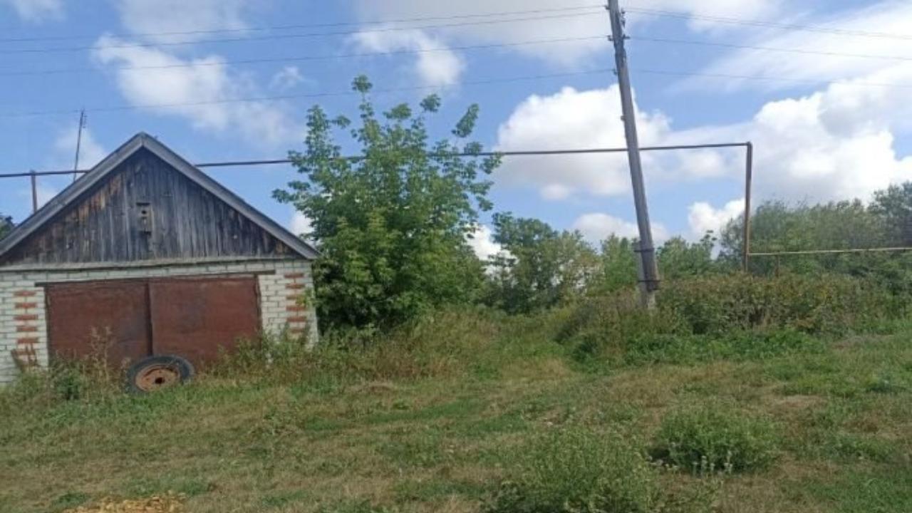 В Мордовии обнаружили фантомную ферму В Мордовии обнаружили фантомную ферму