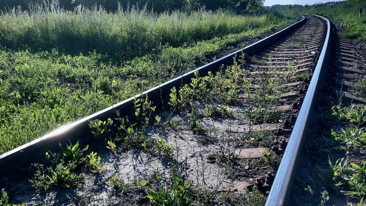 Мужчину в Мордовии осудят за драку на железнодорожных путях 