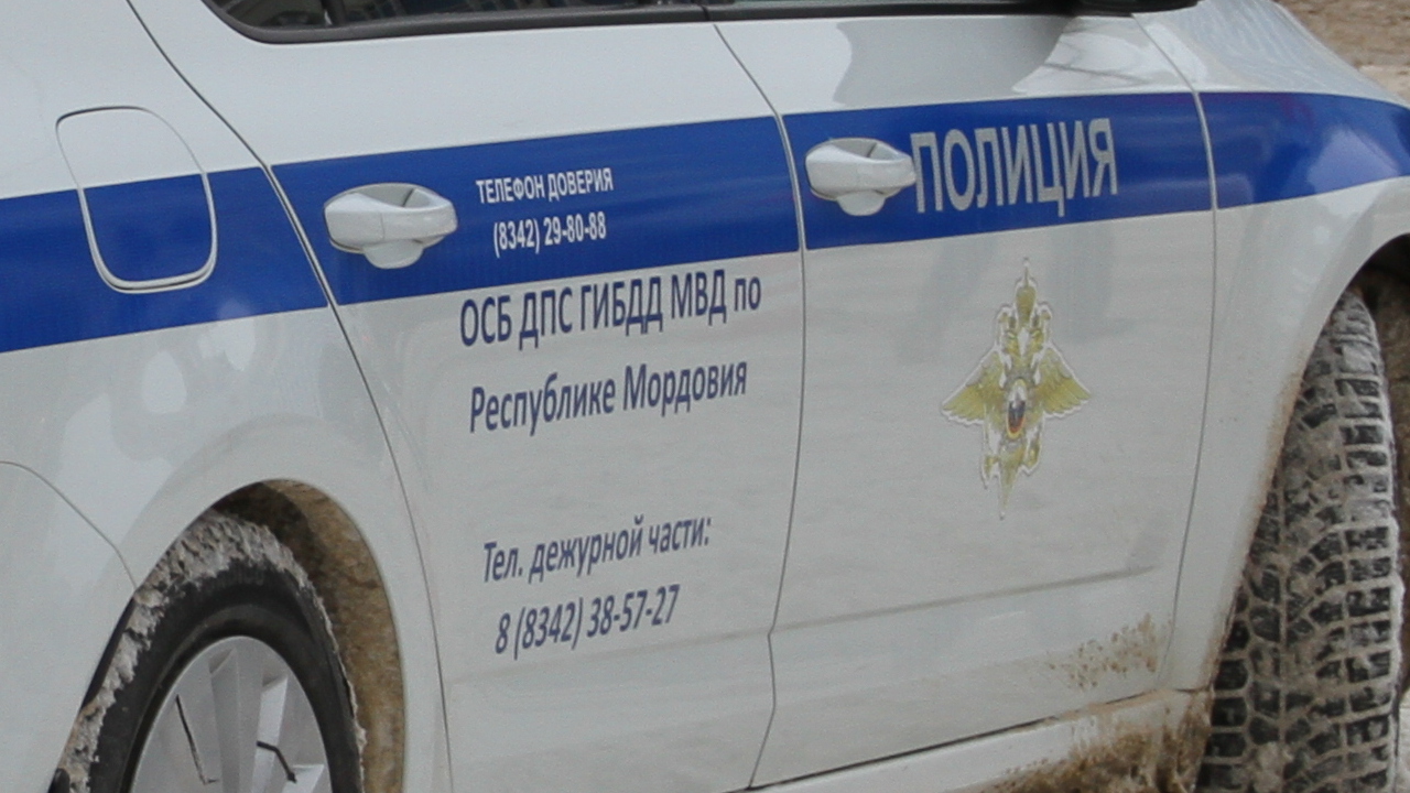 Спецбатальон ДПС в Мордовии устроил рейды в Зубово-Полянском районе 