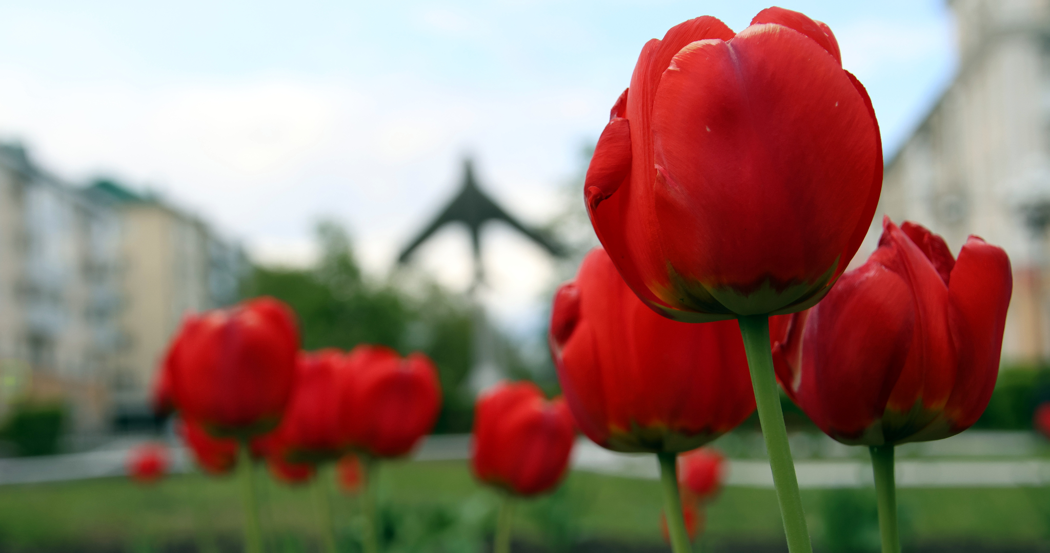 В Саранске будет создан ещё один сквер 