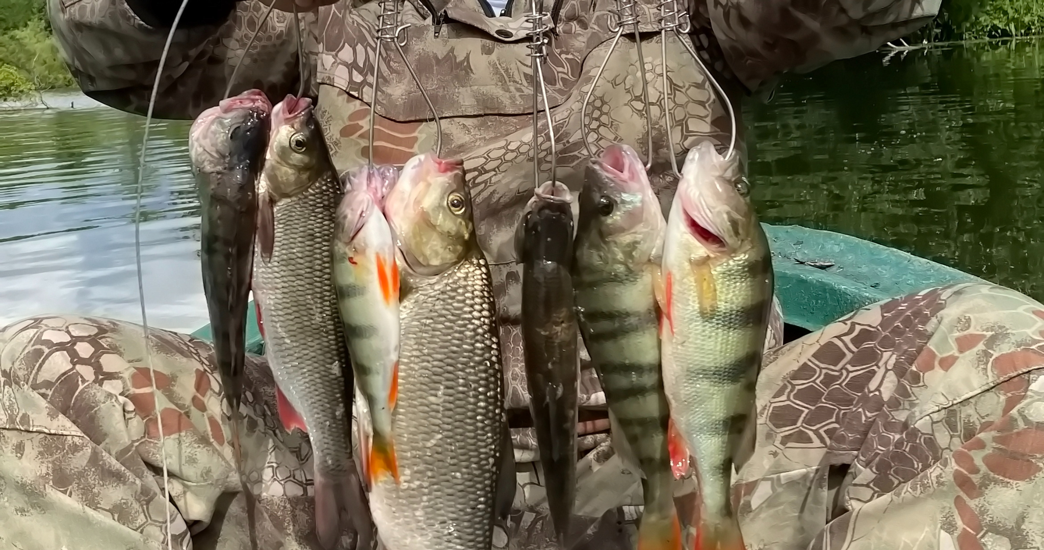 Нерестовый запрет начнёт действовать с 15 апреля 