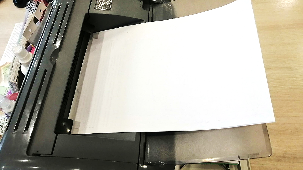 Мошенник из Владимира обманул жительницу Мордовии при продаже принтера