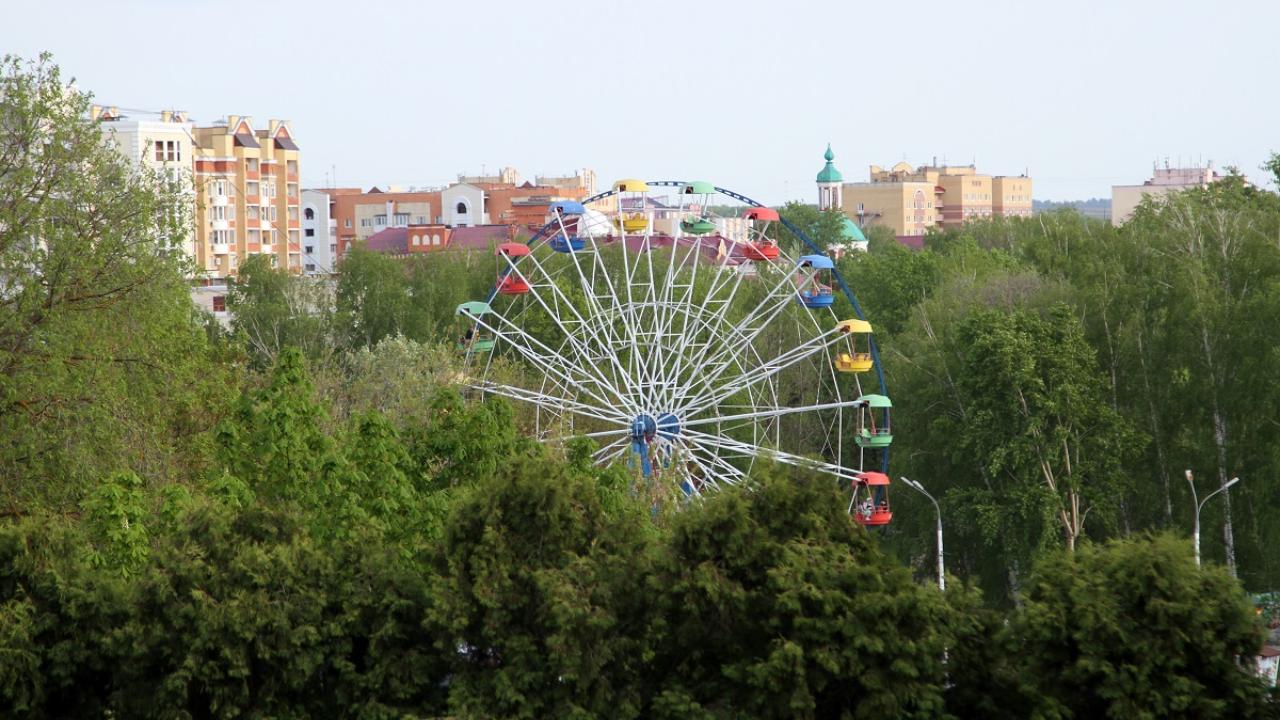 В Саранске отметят международный день черепах 