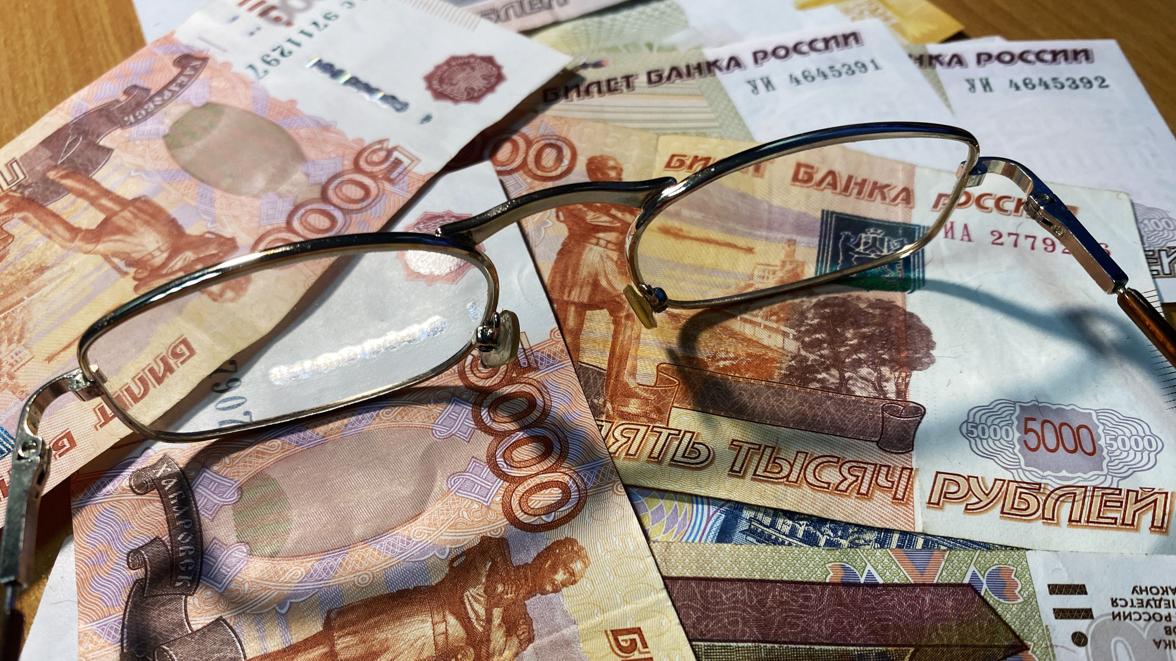 В Мордовии несостоявшийся бизнесмен вернул украденные у государства деньги
