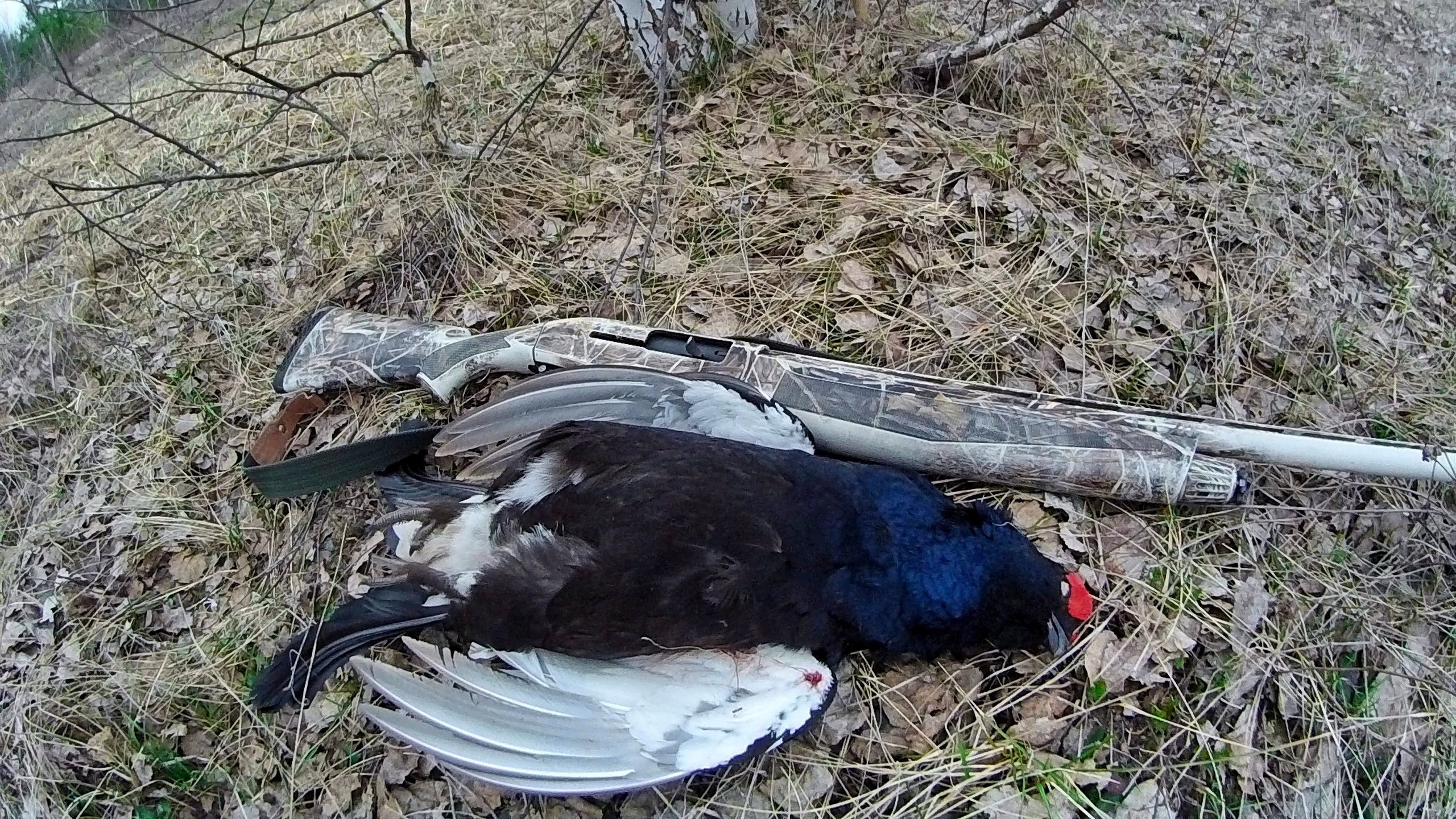 В Мордовии проверили охотников