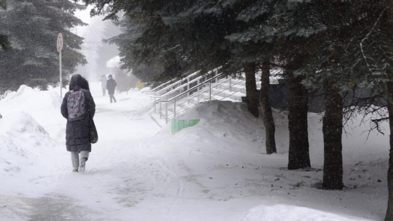 МЧС предупреждает: в Мордовии – опять метель и гололедица