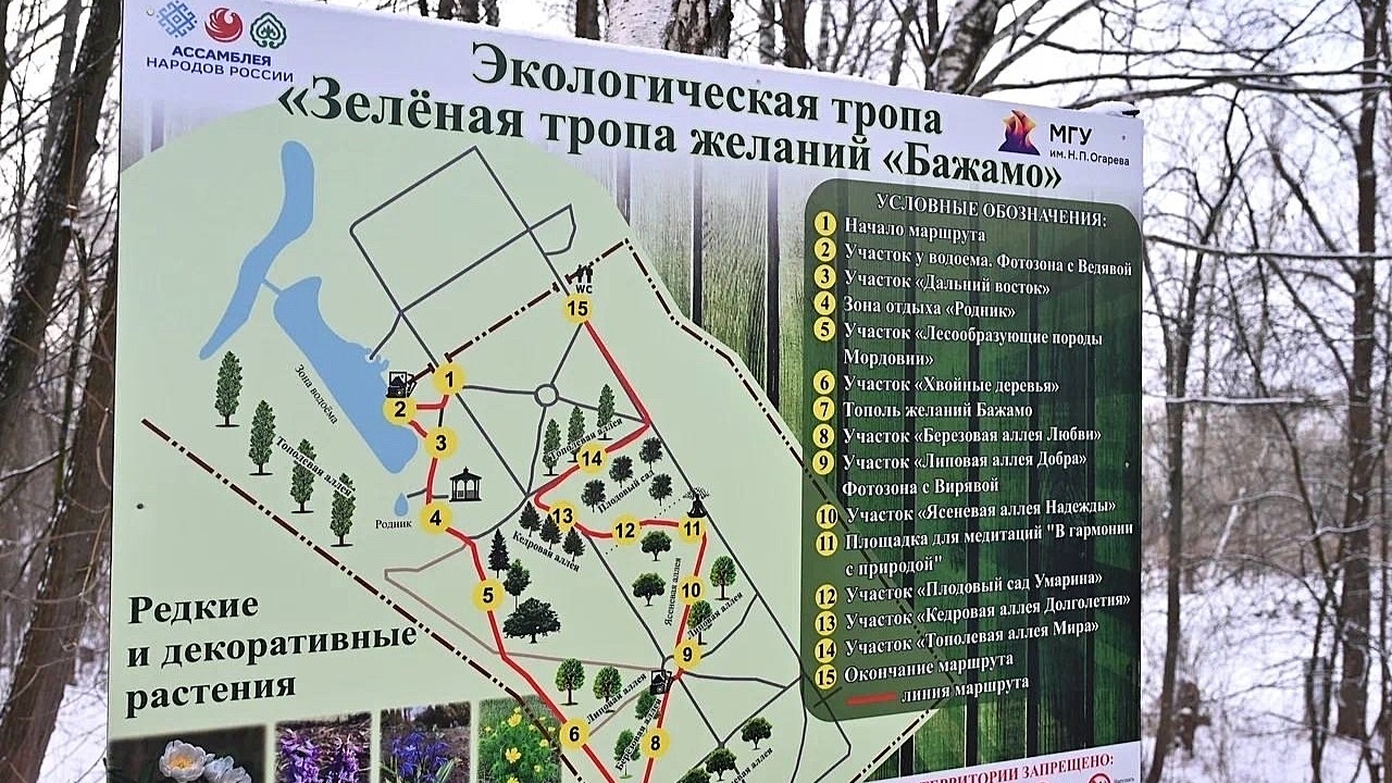 В Саранске «Тропой желаний» прошли почти 19 тысяч человек