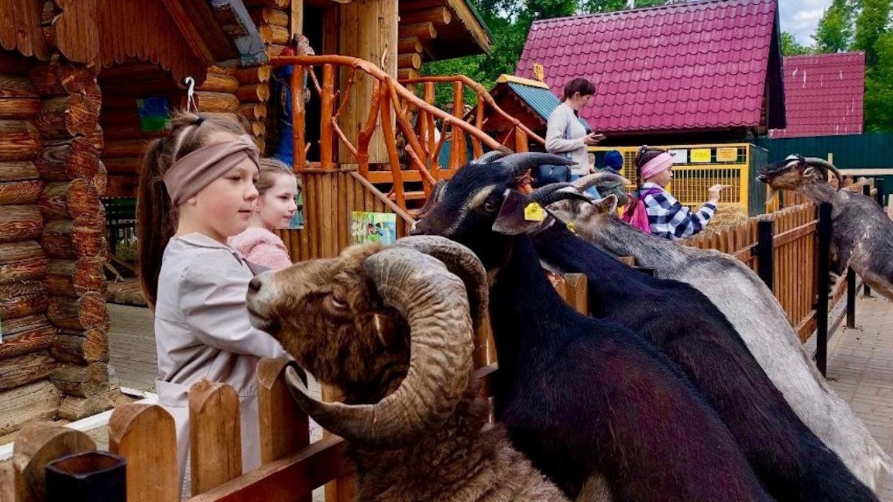 Саранский зоопарк приглашает на фотоконкурс Саранский зоопарк приглашает на фотоконкурс