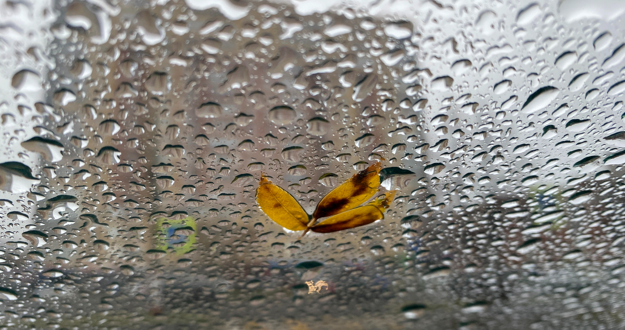 Синоптики и МЧС предупреждают о сильных дождях 