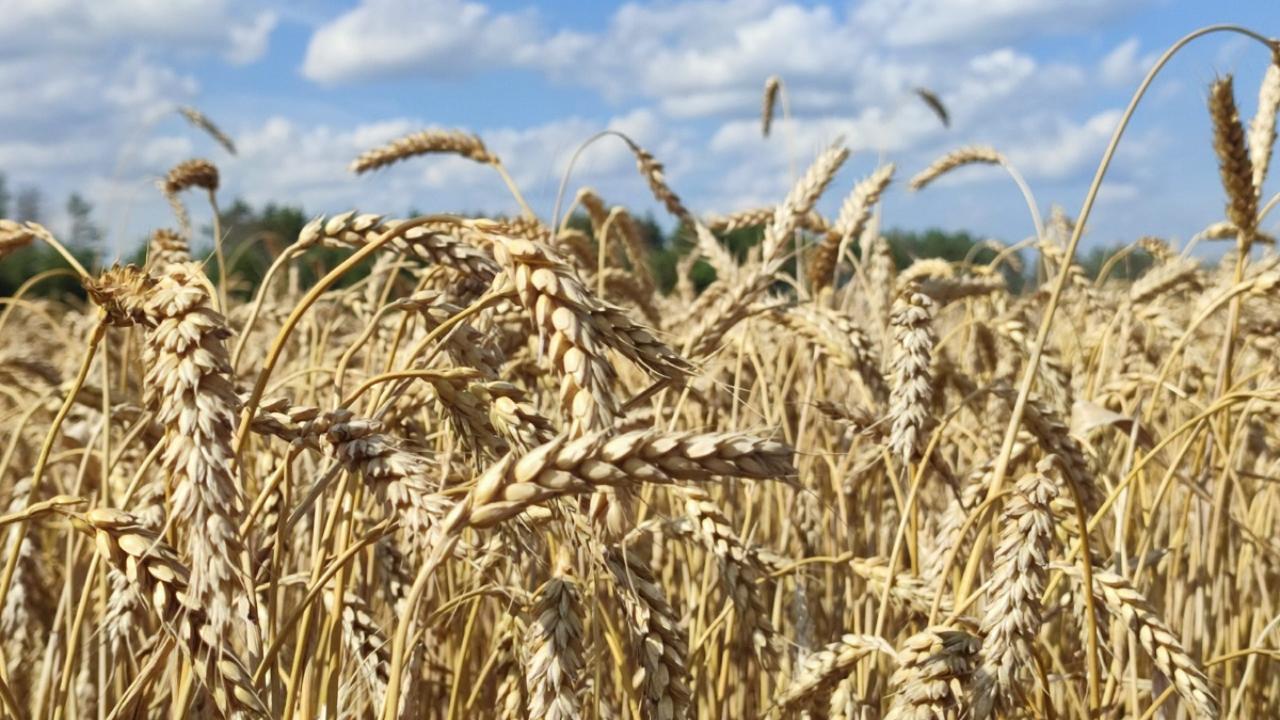 У аграриев Мордовии — новый руководитель