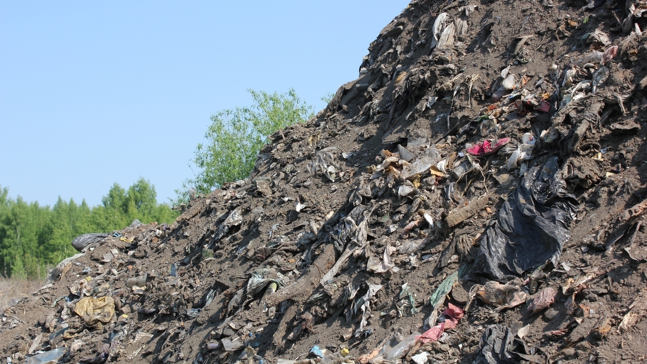 В Мордовии свалка исчезла после вмешательства прокуратуры 