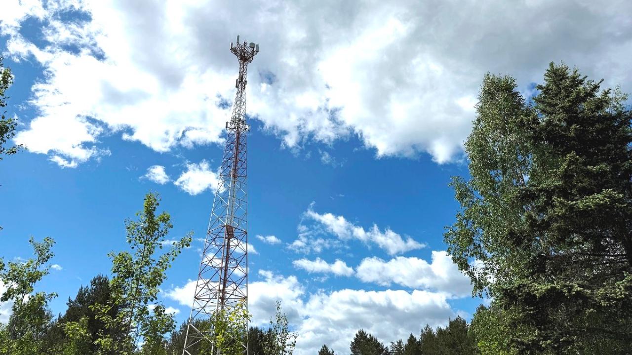 МТС запустила LTE в историческом поселении смолокуров в Мордовии