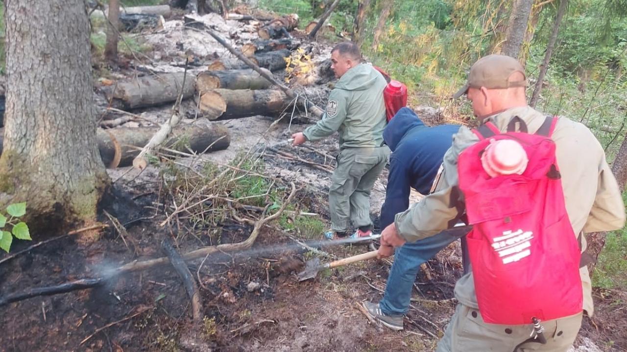 Два лесных пожара случились в один день в Мордовском заповеднике Два лесных пожара случились в один день в Мордовском заповеднике