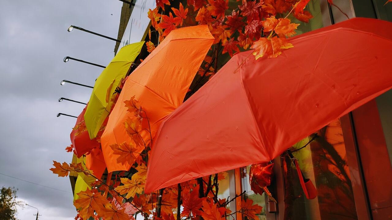 Синоптики озвучили прогноз на ноябрь 