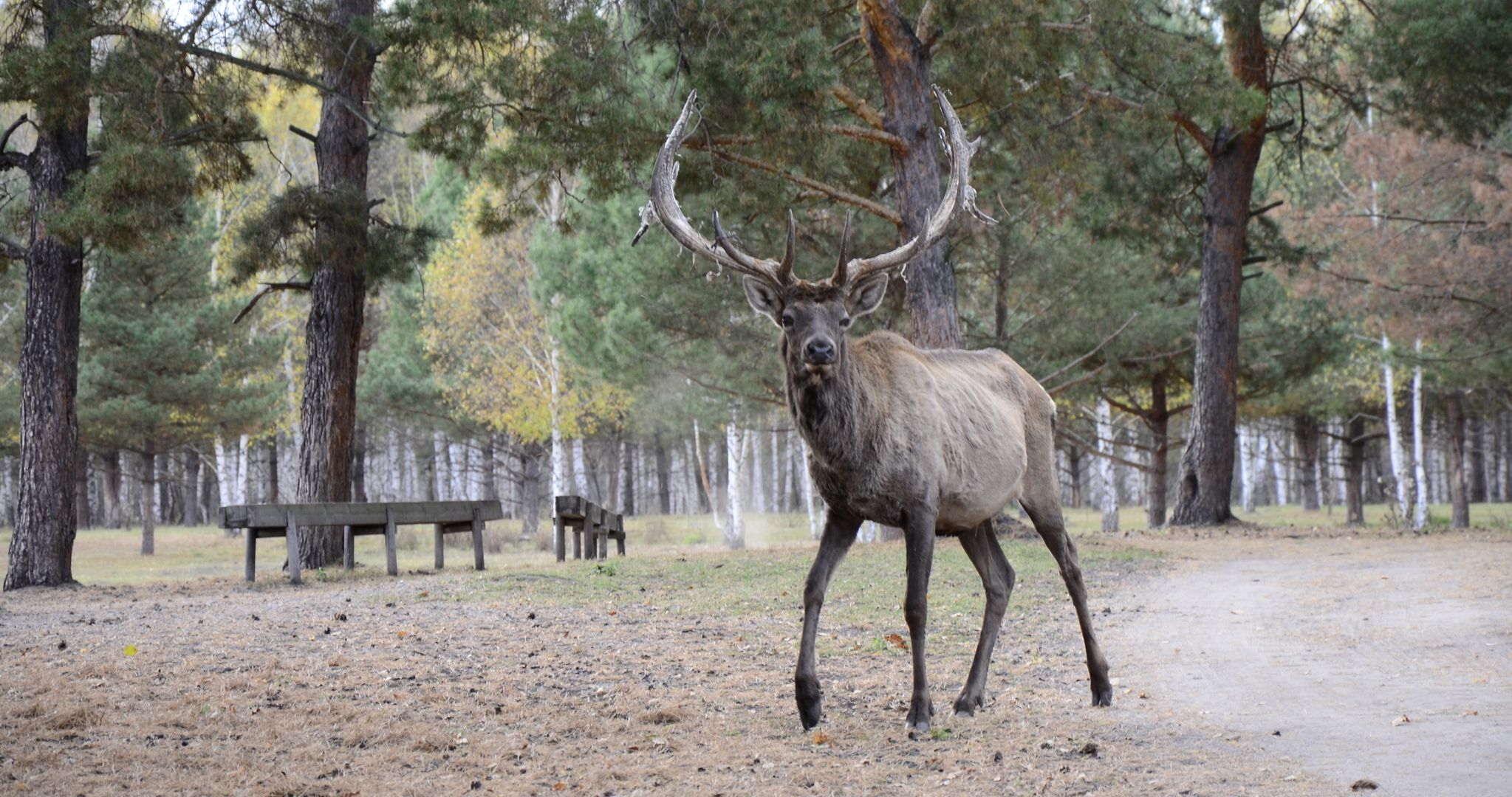Для туристов в Мордовии специально подготовили «Семейные маршруты» 