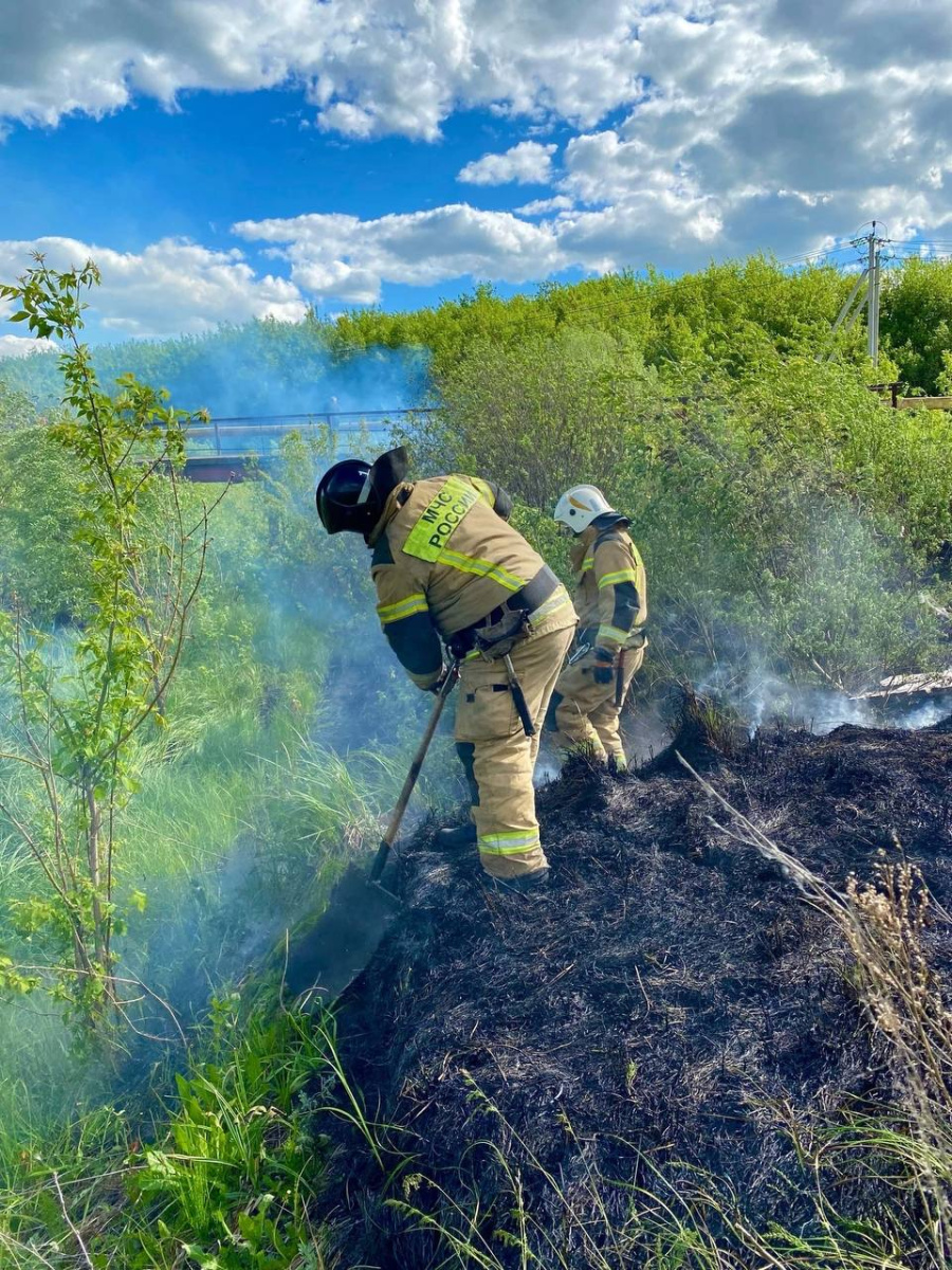 Несмотря на запреты, в Мордовии продолжают поджигать мусор и сухую траву