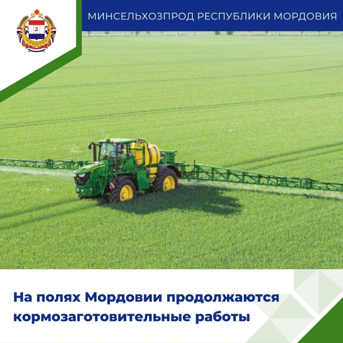 В Мордовии все районы приступили к заготовке кормов