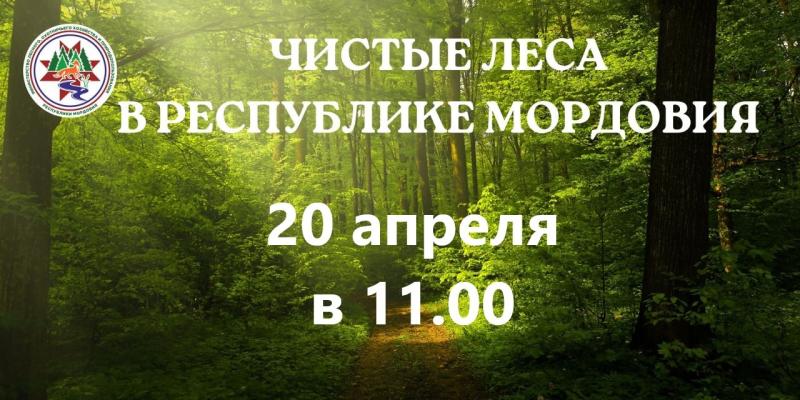 Акция «Чистые леса» пройдет в Мордовии
