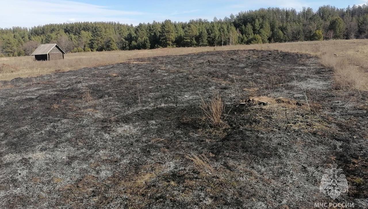 В Мордовии растет число травяных палов