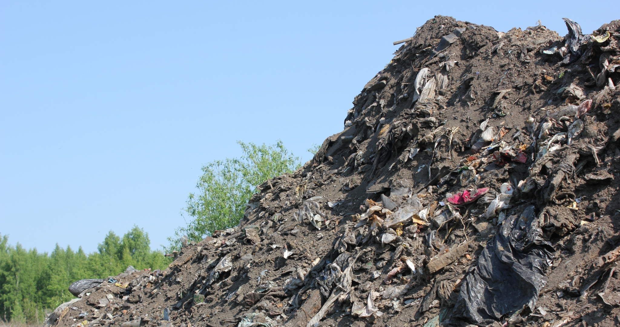 Жителям Мордовии напомнили о штрафах за стихийные свалки 