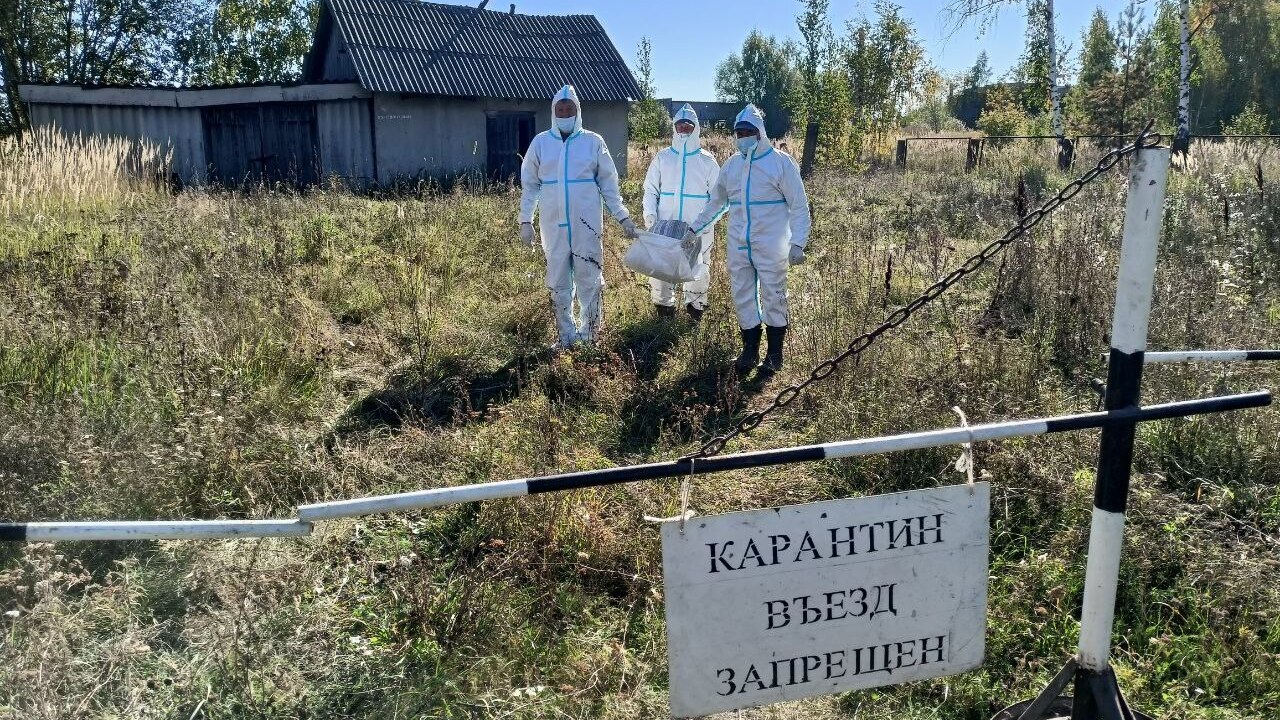 С очень опасной инфекцией боролись ветеринары в Мордовии 