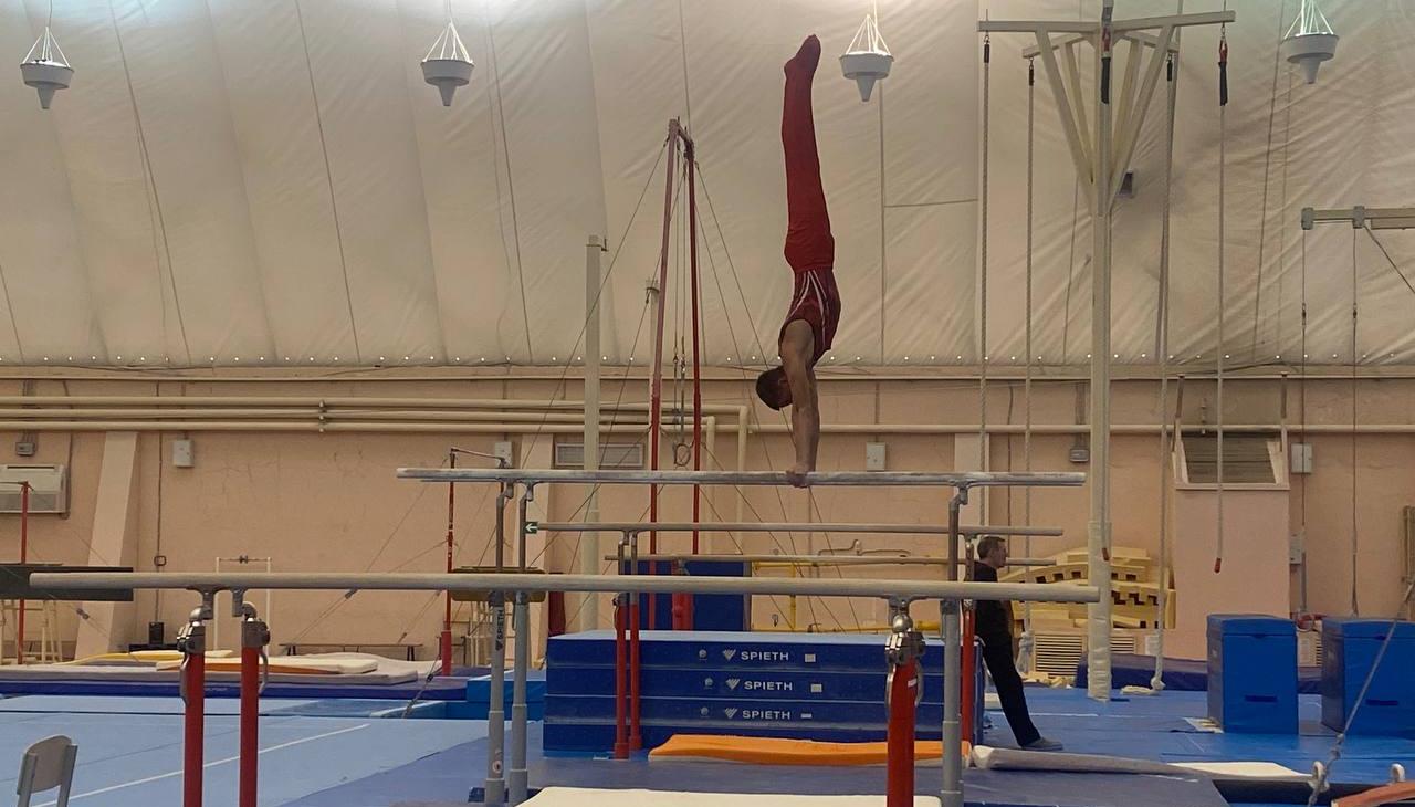 Спортивный отбор в гимнастике. Спортивный отбор в гимнастике