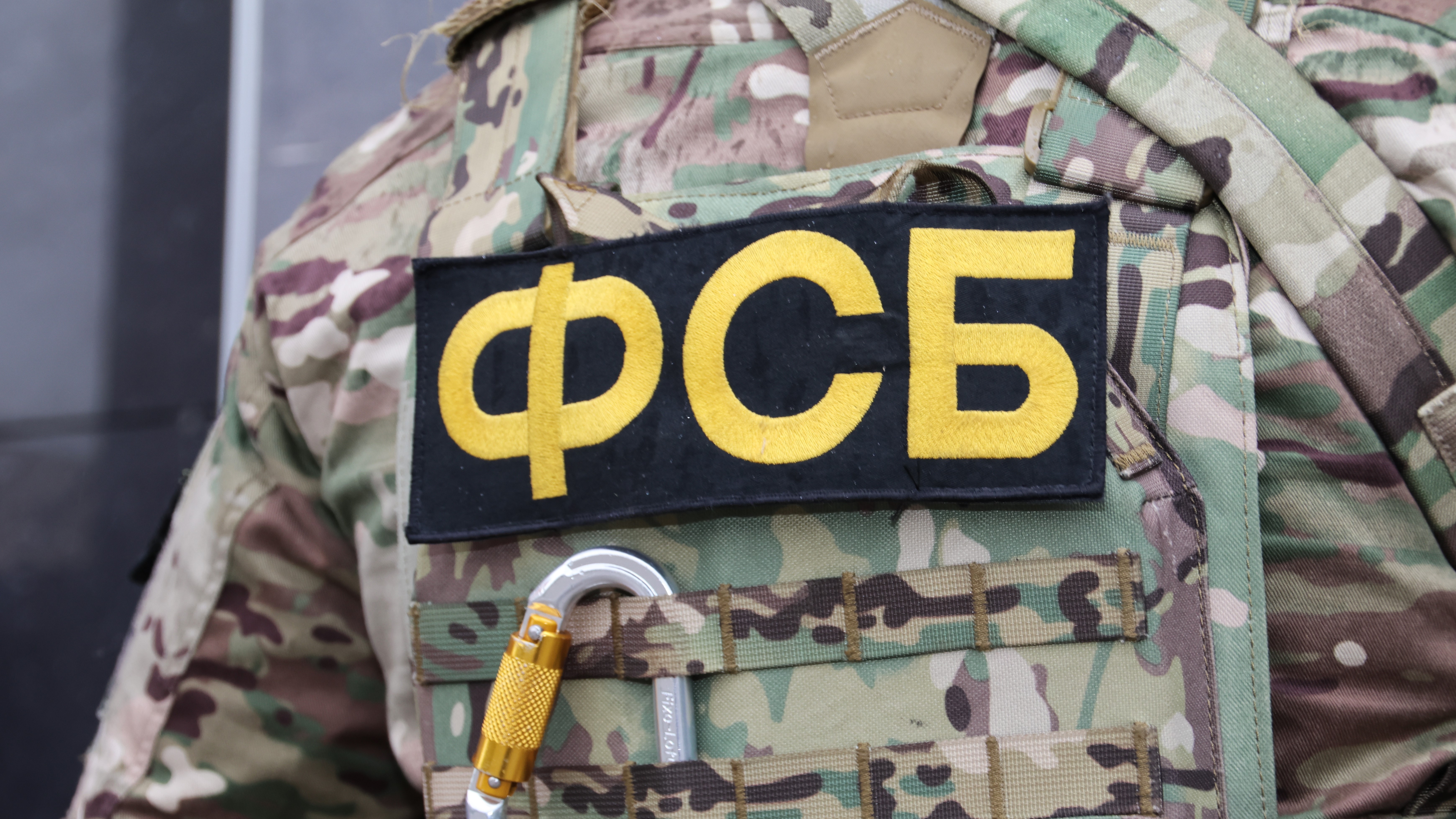 В Мордовии раскрыто крупное мошенничество с Пушкинскими картами