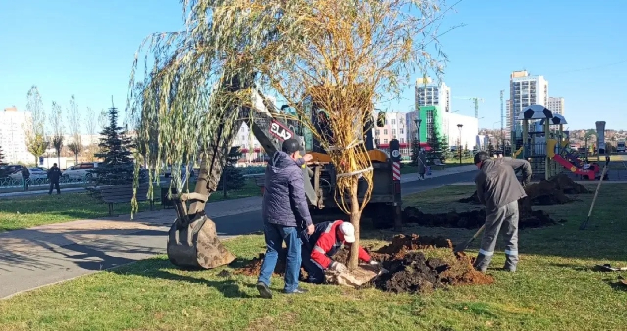 В Саранске высадили больше 120 сосен, ив и тополей 