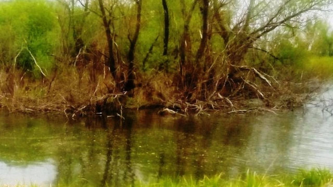 В Мордовии – новая жертва на воде В Мордовии – новая жертва на воде