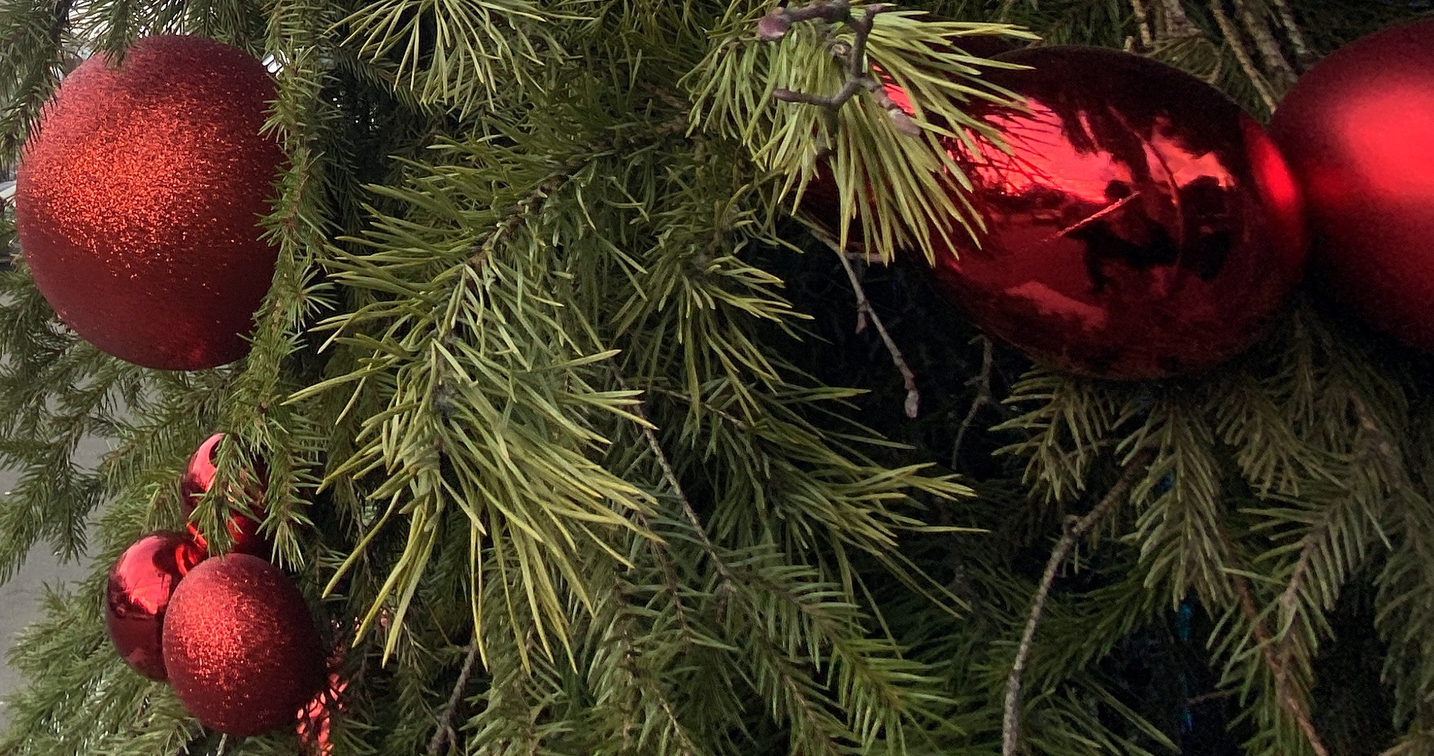 Когда дома ставить ёлку: благоприятные и неблагоприятные даты 