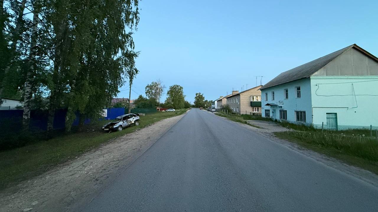 В Чамзинке улетел в кювет водитель, отказавшийся от медосвидетельствования