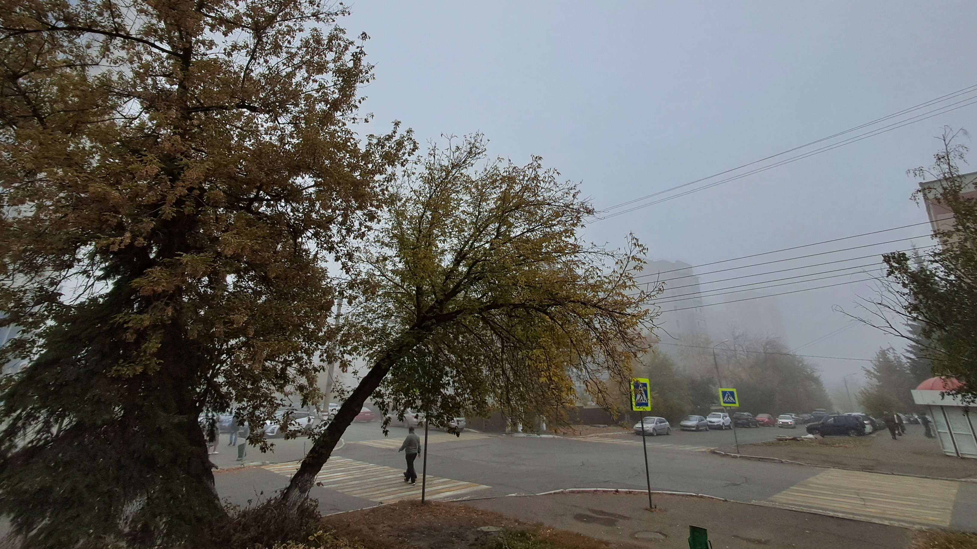 Мордовию оккупировали туманы