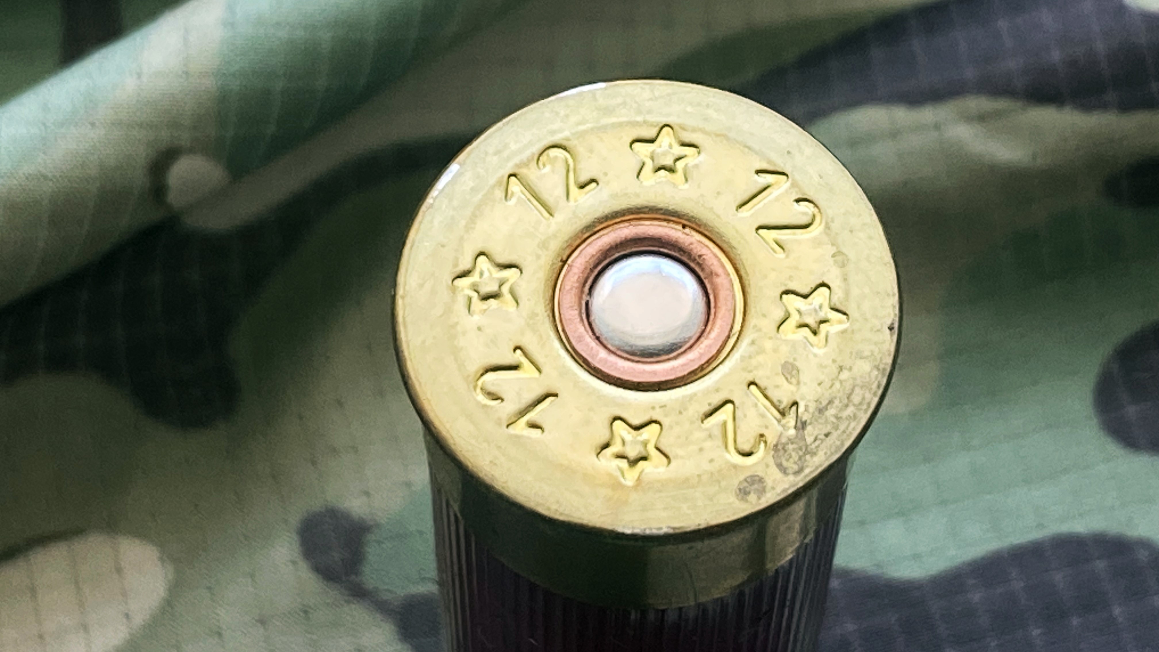 В Мордовии изъяли 50 боеприпасов