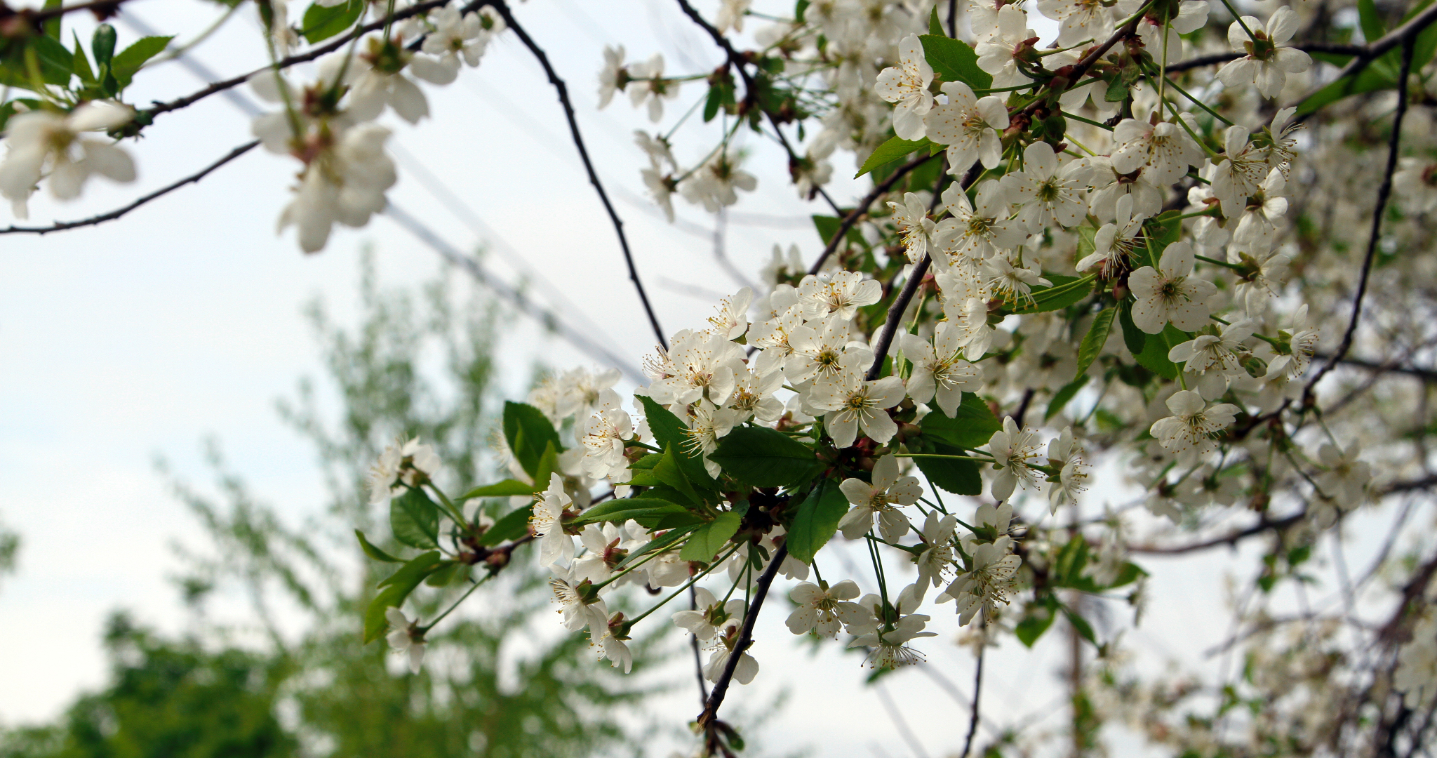 Озвучен прогноз погоды на майские праздники 