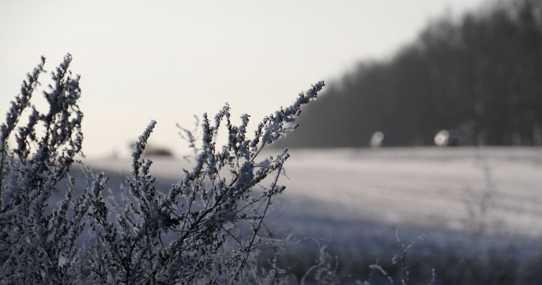 В Мордовии ожидаются заморозки и гололедица 