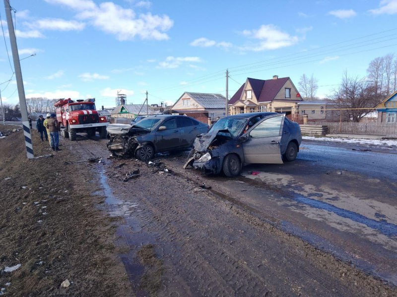 В Мордовии водитель «Калины» пошел на запрещенный обгон и погиб