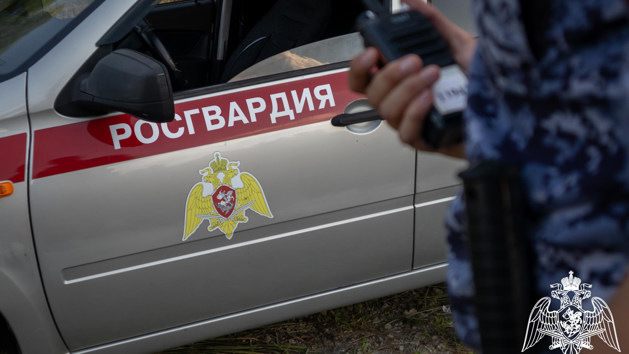 В Мордовии остановили пьяного парня на «семёрке»