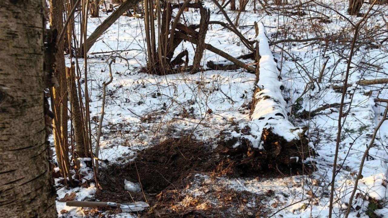 Наркозакладчицу из Московской области будут судить в Мордовии Наркозакладчицу из Московской области будут судить в Мордовии