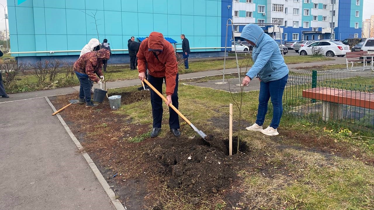 В Саранске посадили липы и рябины