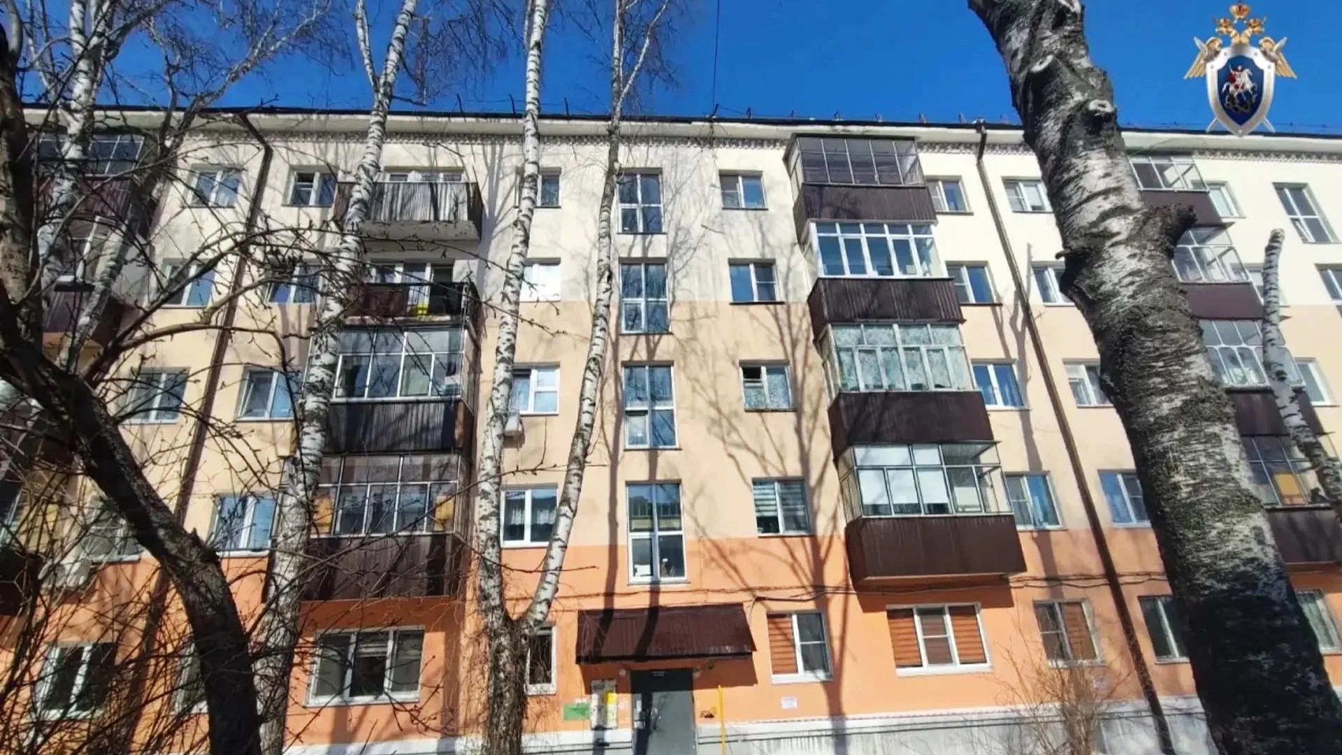 В Саранске за смерть пенсионерки под глыбой льда директора управляйки оштрафовали