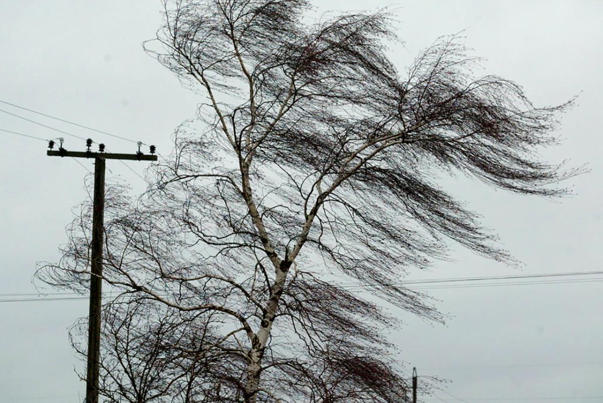 13 марта в Мордовии ожидается сильный ветер 