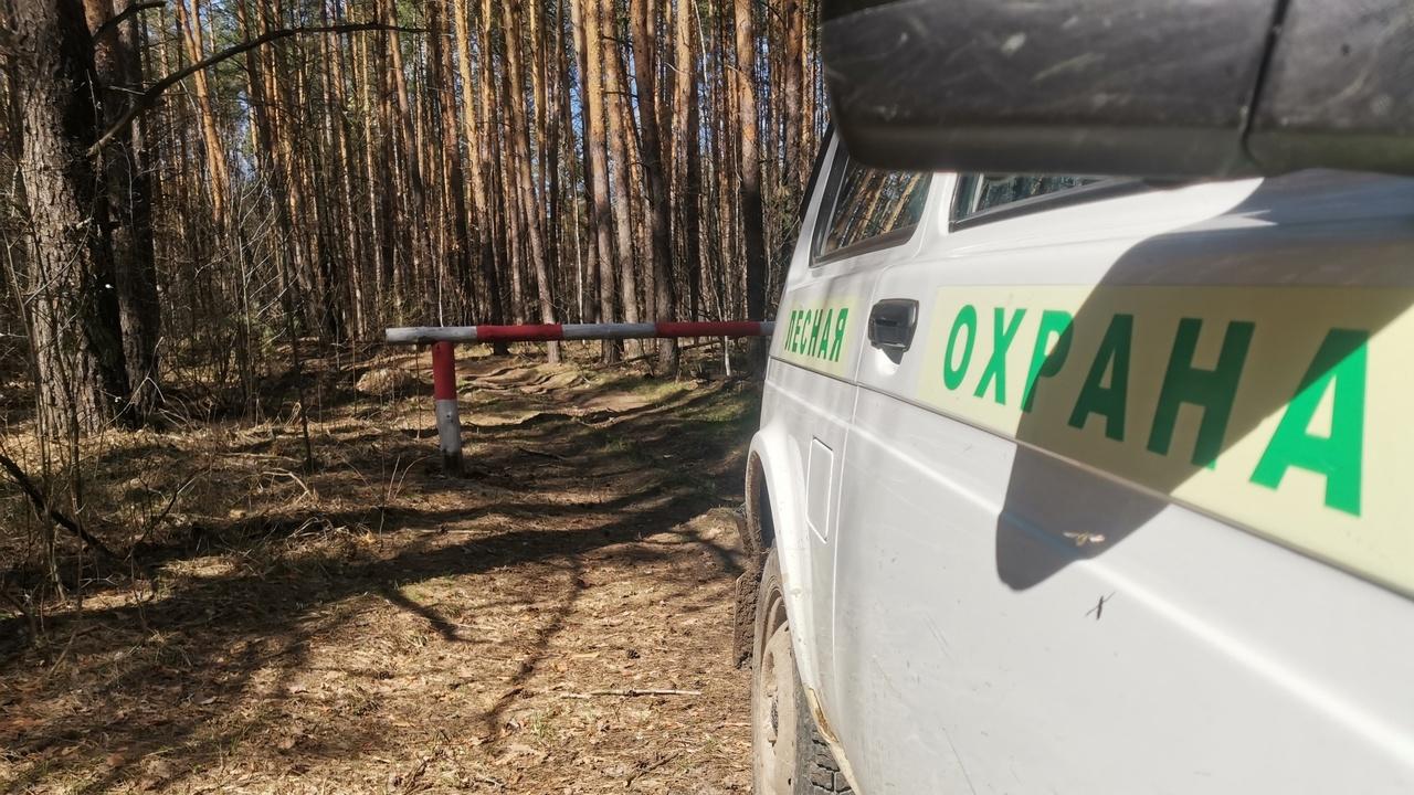В лесах Мордовии прошло около 200 рейдов В лесах Мордовии прошло около 200 рейдов